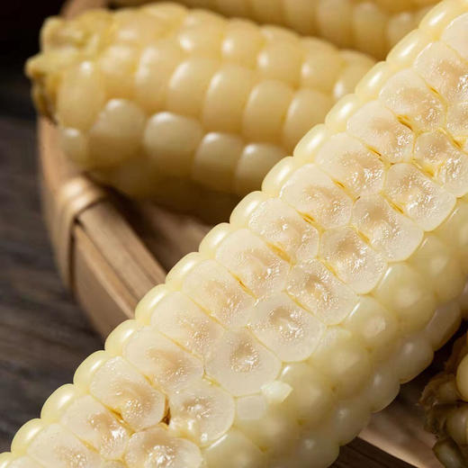 现货西双版纳拇指玉米500克 商品图2