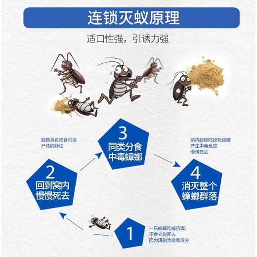 达豪8克大金装强力灭蟑清全窝端大小蟑螂药粉强力灭蟑螂药饵剂 商品图3