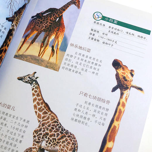 (仓发) 走进动物园（小学生爱读本）/江苏凤凰科学技术出版社/学习型中国·读书工程教研中心/9787553754291 商品图1