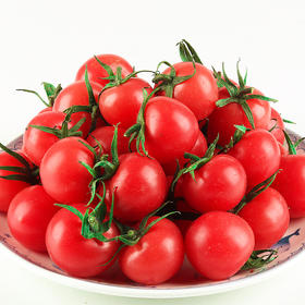 千玺小番茄500g/份