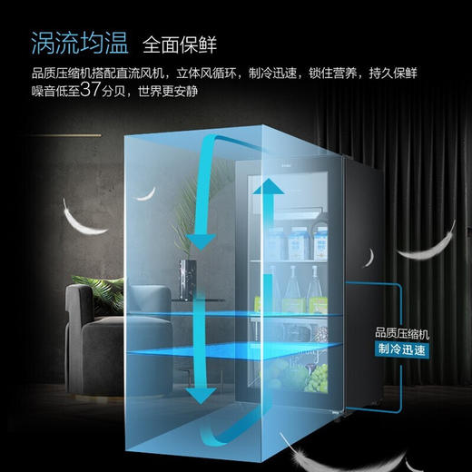【带冷冻室】海尔冰吧家用小型透明玻璃门 红酒柜茶叶家用水果保鲜柜饮料冷藏柜立式冰柜办公室单门 121升 冷冻室可制冰 LC-121D 商品图5