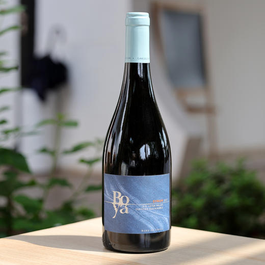 智利莱达谷博雅西拉红葡萄酒2019年 商品图5