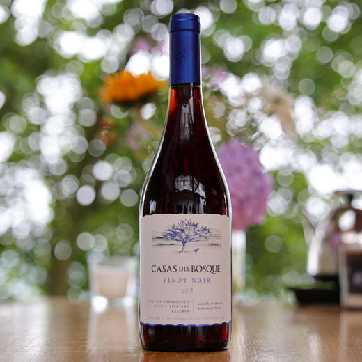智利CASAS DEL BOSQUE珍藏黑皮诺红葡萄酒 商品图1
