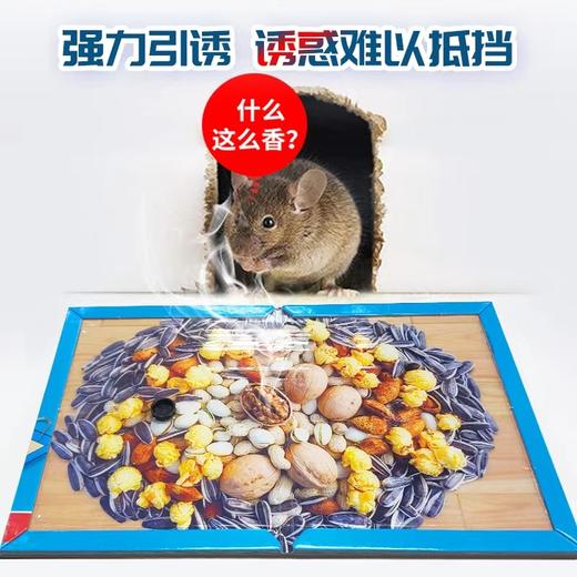 达豪超强力逮除抓大老鼠贴捕驱灭鼠器捉胶夹笼粘鼠板家用加诱饵瓜子核桃花生味坚果图 商品图2