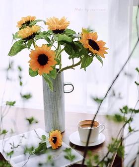 阳光迷你向日葵（三枝）