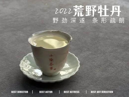 2022荒野白牡丹，野劲十足，野草香与野花香十足（一斤收藏装） 商品图7