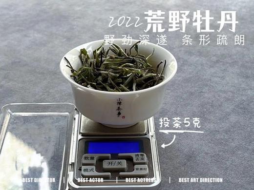 2022荒野白牡丹，野劲十足，野草香与野花香十足（一斤收藏装） 商品图2