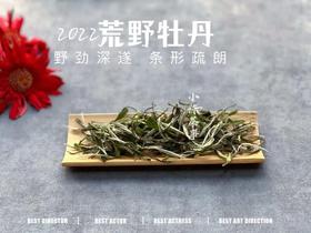 2022荒野白牡丹，野劲十足，野草香与野花香十足（60克罐装）