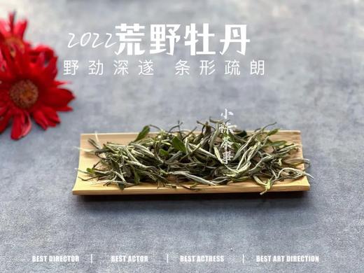 2022荒野白牡丹，野劲十足，野草香与野花香十足（60克罐装） 商品图0