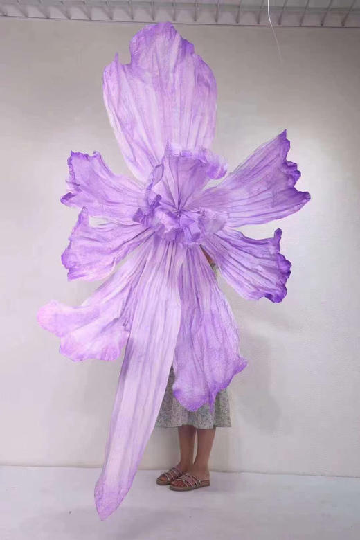 蝶舞大花（运费自理） 商品图5