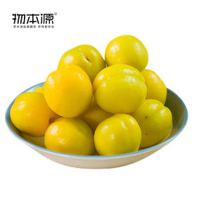 树熟新疆轮台小白杏3斤装