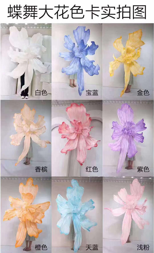 蝶舞大花（运费自理） 商品图9