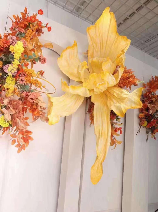 蝶舞大花（运费自理） 商品图6