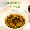 福东海 赶黄草（120*2罐） 四川古蔺正品秋黄草叶 喝酒熬夜养生茶 商品缩略图3