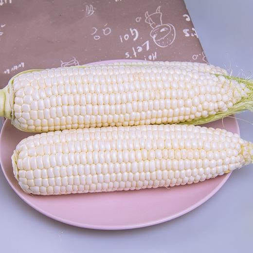 预订15元2根牛奶水果玉米 商品图0