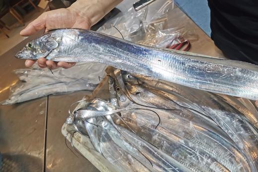 舟山 野生全鳞  钓带鱼 整条 商品图1