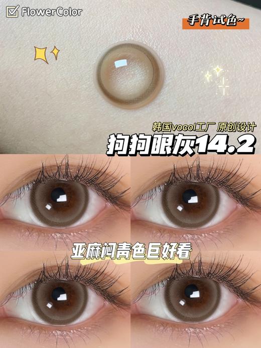 店主推荐丨狗狗眼灰·FlowerColor丨14.2mm（年抛/2片装) 商品图3