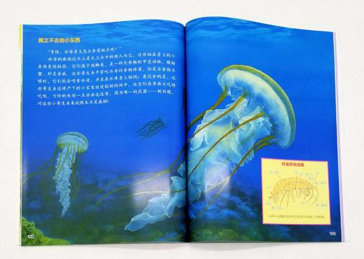 《小牛顿.科学大世界》第三辑，全10册，16开铜版彩印，小牛顿科学大世界编委会编著，青岛出版社2016年2版3印，定价180，售价68元。非偏远地区包邮。

《小牛顿科学大世界》者是台湾牛顿出版公司一 商品图14