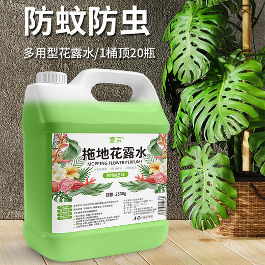 壹宝拖地花露水2500g防蚊驱虫卧室地板空气清香剂酒店大桶花露水 商品图1