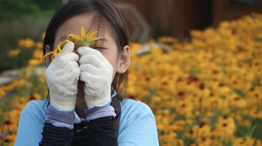 雷神夏训营—神奇女孩 商品图1