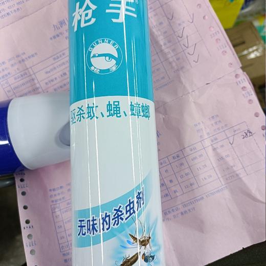枪手杀虫气雾剂(无味)600毫升 商品图0