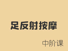 足反射按摩--中阶