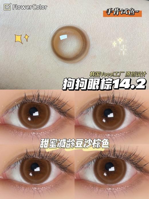 店主推荐丨狗狗眼棕·FlowerColor丨14.2mm（年抛/2片装) 商品图3