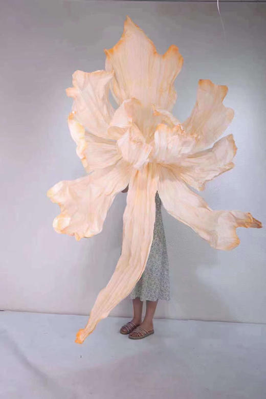 蝶舞大花（运费自理） 商品图3