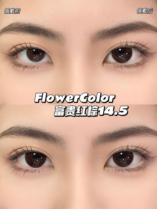 大直径推荐丨富贵红棕·FlowerColor丨14.5mm（年抛/2片装) 商品图4