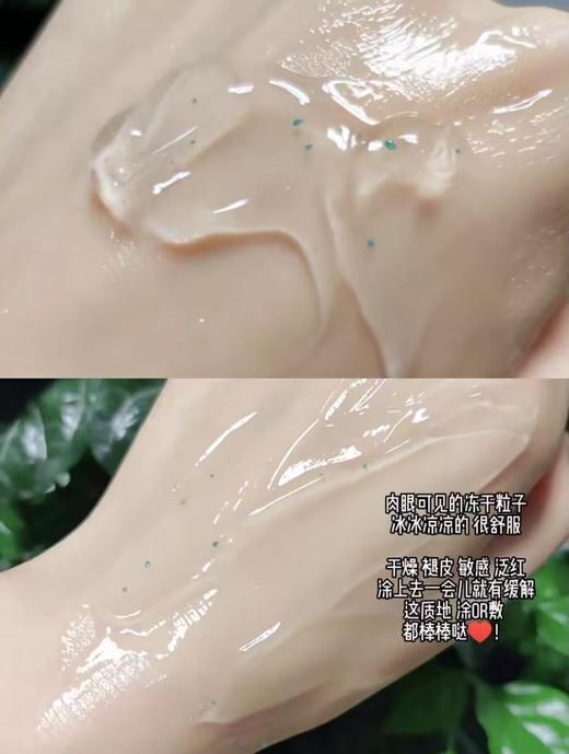 【冻干粉芦荟胶】好体面芦荟胶冻干粉胶囊 补水保湿收缩毛孔睡眠面膜护肤 商品图4