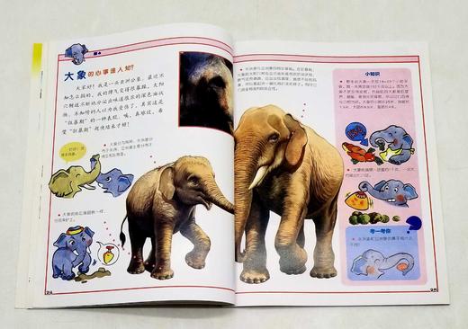 《小牛顿.科学大世界》第三辑，全10册，16开铜版彩印，小牛顿科学大世界编委会编著，青岛出版社2016年2版3印，定价180，售价68元。非偏远地区包邮。

《小牛顿科学大世界》者是台湾牛顿出版公司一 商品图7