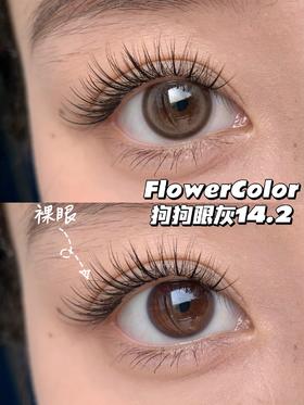 店主推荐丨狗狗眼灰·FlowerColor丨14.2mm（年抛/2片装)