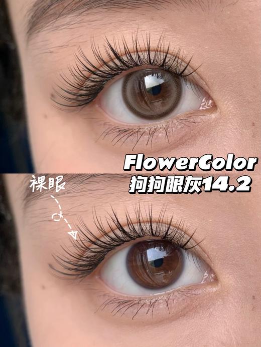 【FlowerColor】高性价比·套餐活动丨188/2副 218/3副 248/4副 278/5副（年抛/一副包含2片） 商品图14