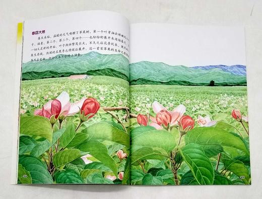 《小牛顿.科学大世界》第三辑，全10册，16开铜版彩印，小牛顿科学大世界编委会编著，青岛出版社2016年2版3印，定价180，售价68元。非偏远地区包邮。

《小牛顿科学大世界》者是台湾牛顿出版公司一 商品图11