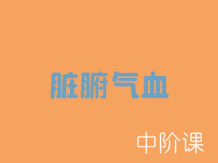 脏腑气血--中阶