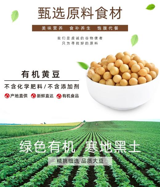 【中欧班列精选】俄罗斯豆粉   原装进口老式豆奶粉袋装500克学生成人老年人早餐速溶高蛋白代餐营养原味豆汁 商品图3