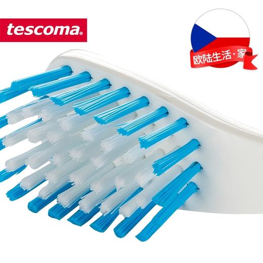 捷克进口/tescoma CLEANKIT系列 进口厨房碗碟清洁刷 商品图2