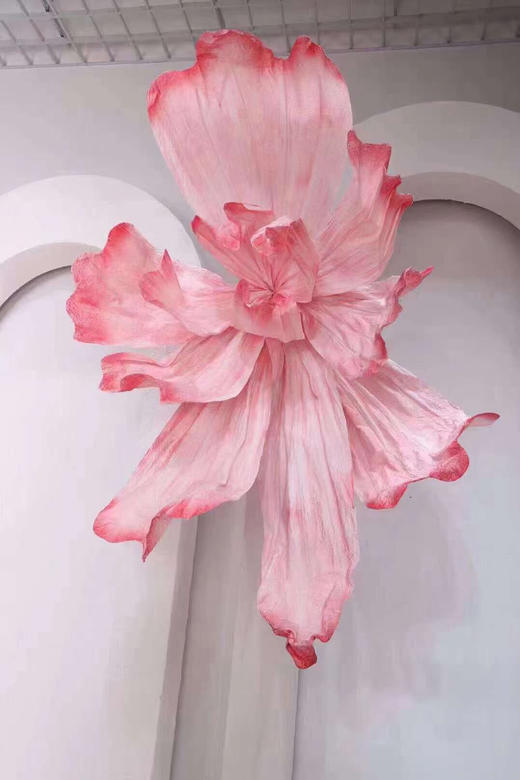 蝶舞大花（运费自理） 商品图2