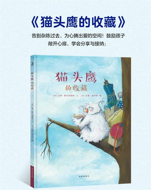 Y-猫头鹰的收藏 商品图1