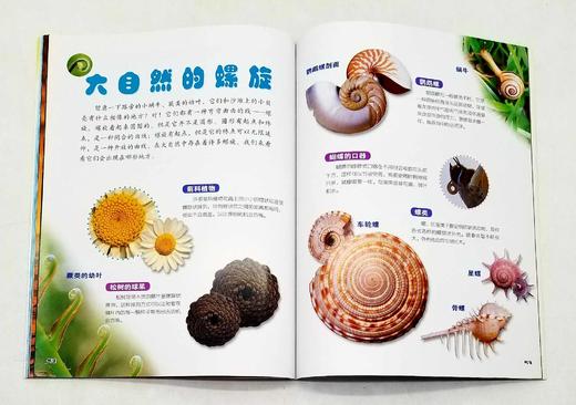 《小牛顿.科学大世界》第三辑，全10册，16开铜版彩印，小牛顿科学大世界编委会编著，青岛出版社2016年2版3印，定价180，售价68元。非偏远地区包邮。

《小牛顿科学大世界》者是台湾牛顿出版公司一 商品图10