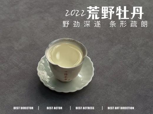 2022荒野白牡丹，野劲十足，野草香与野花香十足（60克罐装） 商品图9