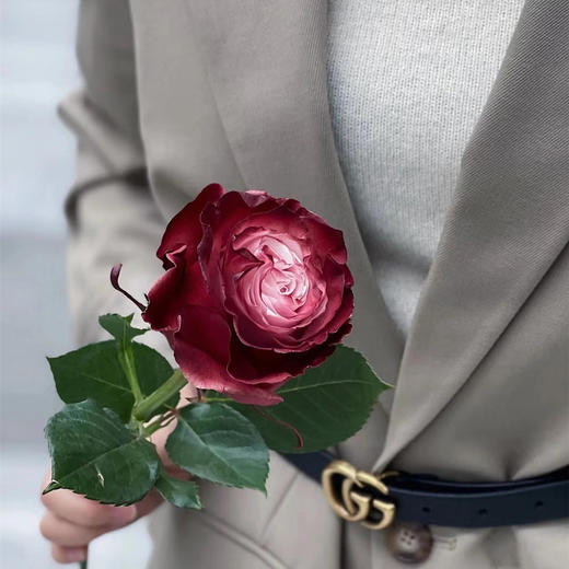 厄瓜多尔DUSTYROSE灰蔷薇染色玫瑰10支 商品图3