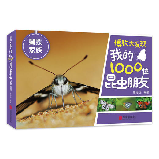 博物大发现我的1000位昆虫朋友(全5册)无穷小亮唐志远昆虫科普 商品图5