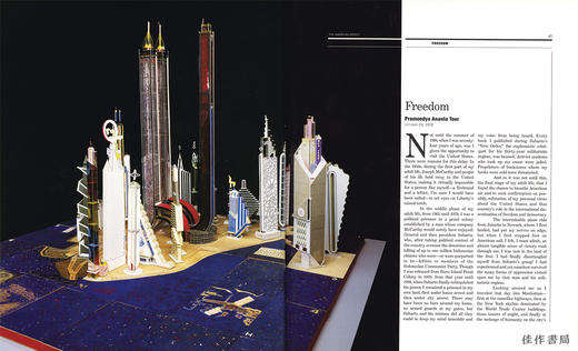 The American Effect: Global Perspective on the United States  1990-2003  Whitney Museum 商品图1