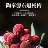 兰溪陶奉源东魁杨梅 商品缩略图1