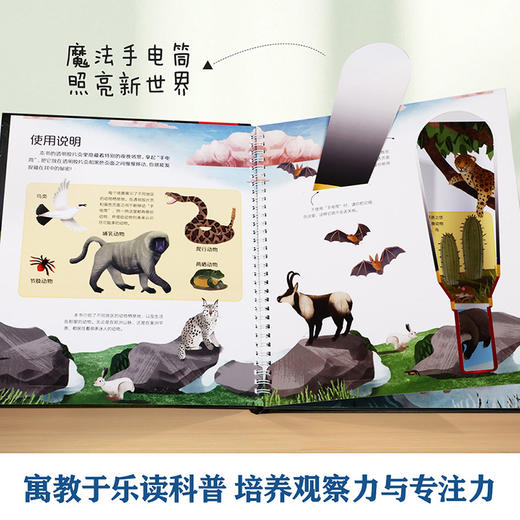 乐乐趣-手电筒探秘 夜晚的动物+海洋动物 商品图1