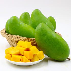 【现摘现发】海南金煌芒 新鲜水果 整箱发货 收到请催熟