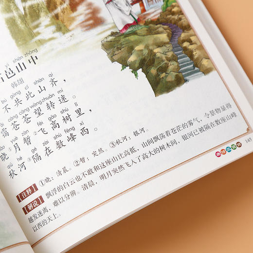 A19-【3-6岁】幼儿阅读坡步：识字大王+唐诗三百首（全2册）幼儿学前识字启蒙用书 国学经典启蒙 商品图8