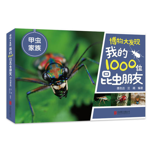 博物大发现我的1000位昆虫朋友(全5册)无穷小亮唐志远昆虫科普 商品图3