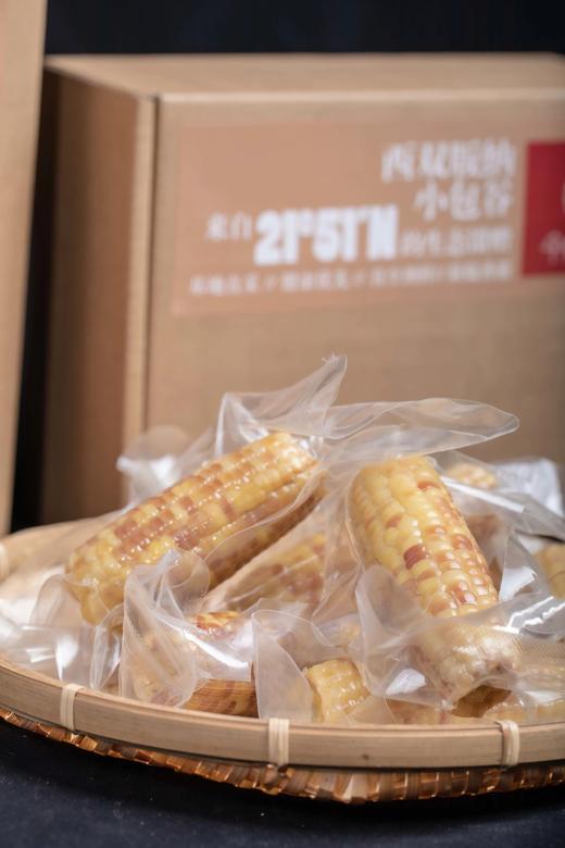 【SAJ】今好糯西双版纳小包谷，香甜软糯，每粒都像在吃玉米味的QQ糖，代餐辅食，宝宝超爱！ 商品图2